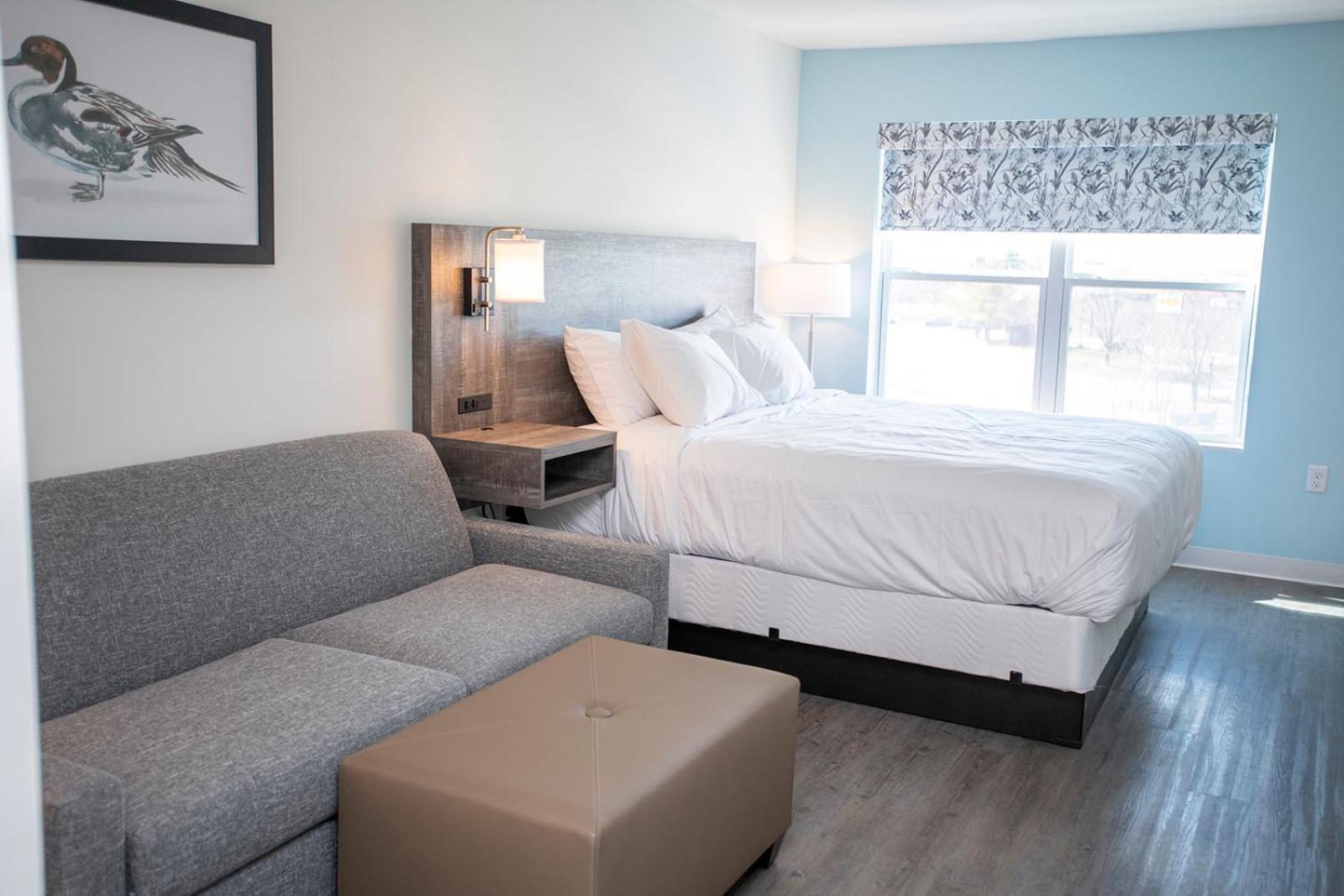 The Nest Hotel Greenfield Buitenkant foto